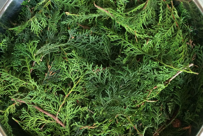 メディア掲載歴／ラジオ